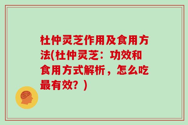 杜仲灵芝作用及食用方法(杜仲灵芝：功效和食用方式解析，怎么吃最有效？)