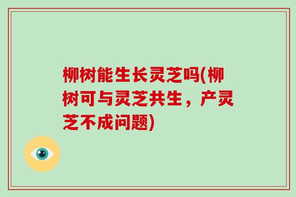 柳树能生长灵芝吗(柳树可与灵芝共生，产灵芝不成问题)
