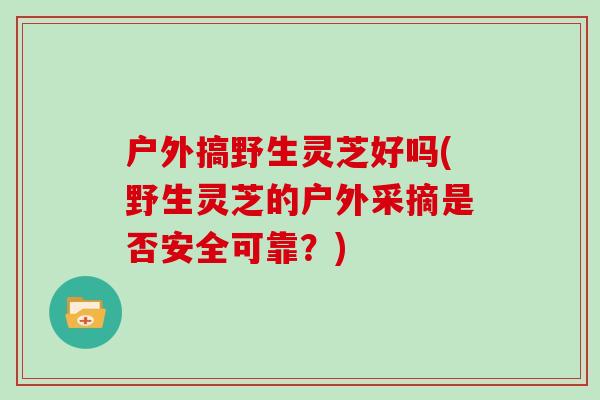 户外搞野生灵芝好吗(野生灵芝的户外采摘是否安全可靠?)