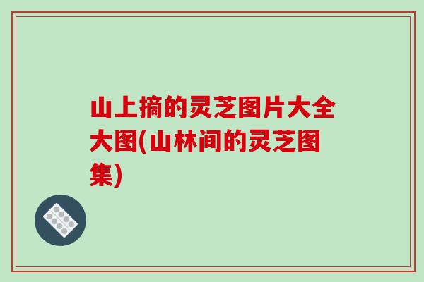 山上摘的灵芝图片大全大图(山林间的灵芝图集)