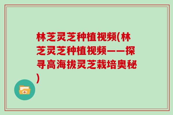 林芝灵芝种植视频(林芝灵芝种植视频——探寻高海拔灵芝栽培奥秘)