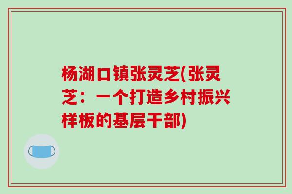杨湖口镇张灵芝(张灵芝：一个打造乡村振兴样板的基层干部)
