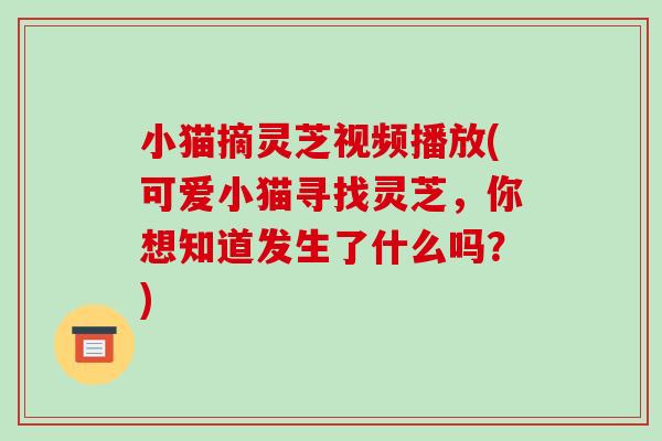 小猫摘灵芝视频播放(可爱小猫寻找灵芝,你想知道发生了什么吗?)