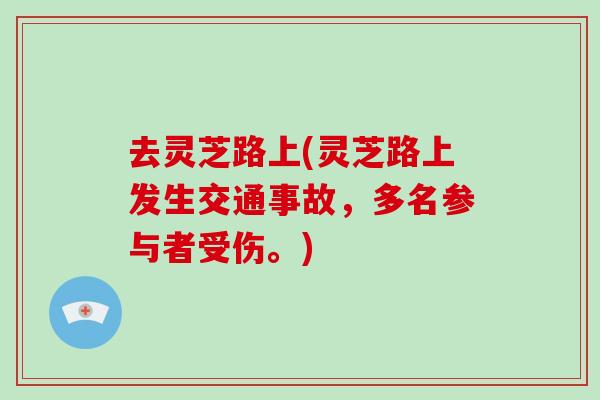 去灵芝路上(灵芝路上发生交通事故,多名参与者受伤。)