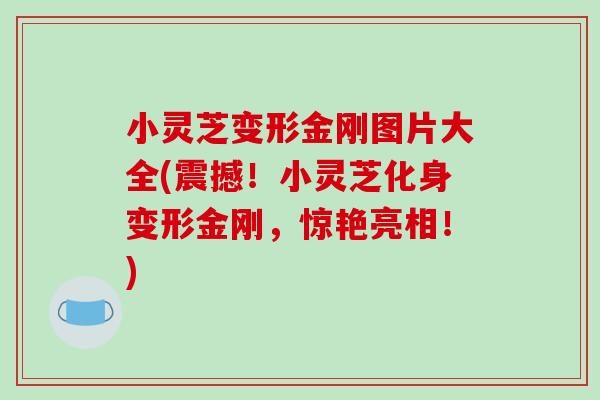 小灵芝变形金刚图片大全(震撼!小灵芝化身变形金刚,惊艳亮相!)