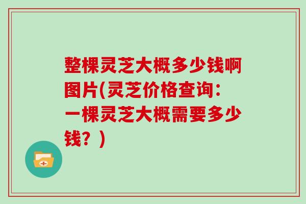 整棵灵芝大概多少钱啊图片(灵芝价格查询:一棵灵芝大概需要多少钱?)