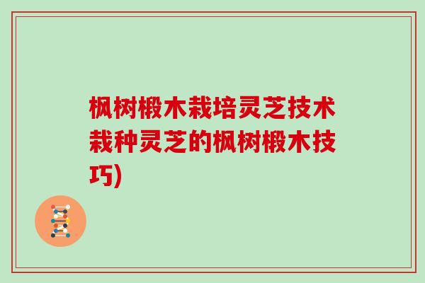 枫树椴木栽培灵芝技术栽种灵芝的枫树椴木技巧)