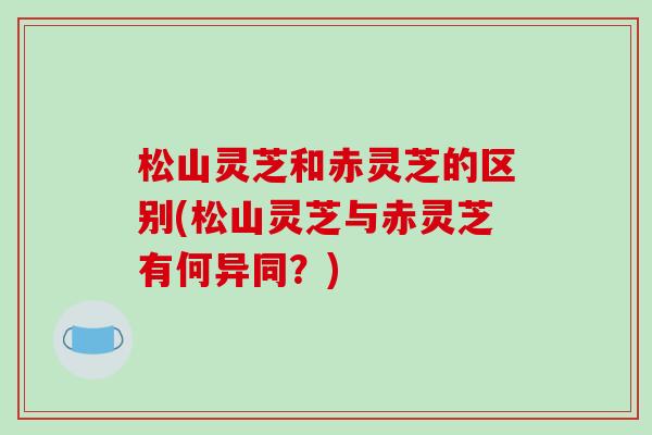 松山灵芝和赤灵芝的区别(松山灵芝与赤灵芝有何异同?)