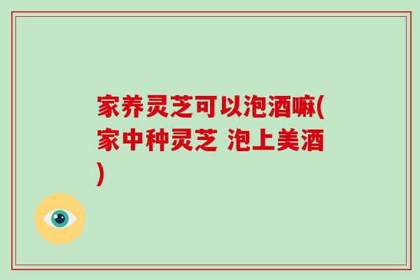 家养灵芝可以泡酒嘛(家中种灵芝 泡上美酒)