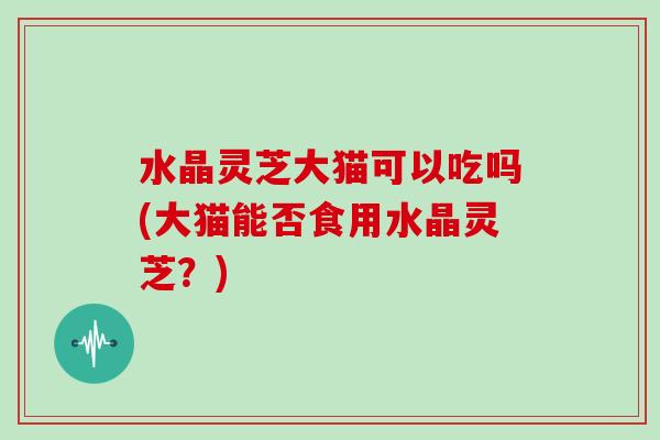 水晶灵芝大猫可以吃吗(大猫能否食用水晶灵芝?)