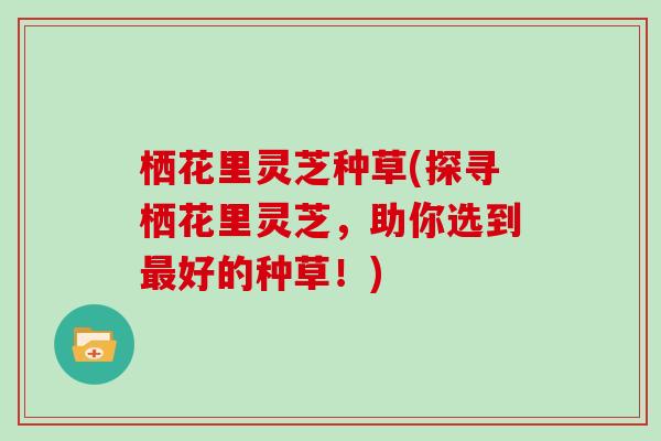 栖花里灵芝种草(探寻栖花里灵芝，助你选到最好的种草！)