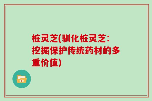 桩灵芝(驯化桩灵芝:挖掘保护传统药材的多重价值)