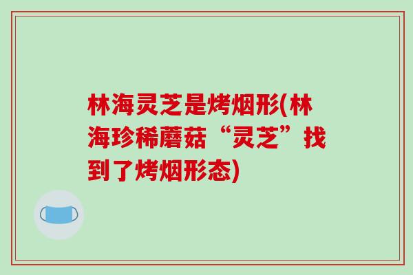 林海灵芝是烤烟形(林海珍稀蘑菇“灵芝”找到了烤烟形态)