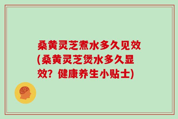 桑黄灵芝煮水多久见效(桑黄灵芝煲水多久显效?健康养生小贴士)