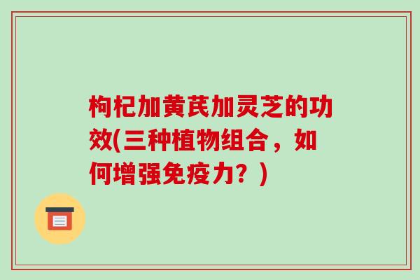 枸杞加黄芪加灵芝的功效(三种植物组合，如何增强免疫力？)