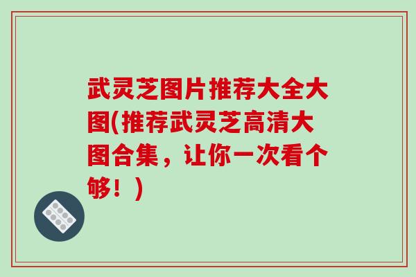 武灵芝图片推荐大全大图(推荐武灵芝高清大图合集，让你一次看个够！)