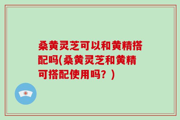 桑黄灵芝可以和黄精搭配吗(桑黄灵芝和黄精可搭配使用吗？)