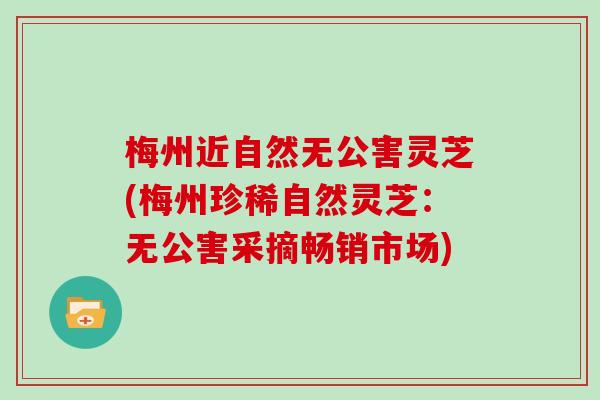 梅州近自然无公害灵芝(梅州珍稀自然灵芝：无公害采摘畅销市场)