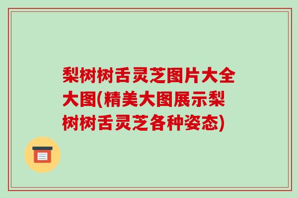 梨树树舌灵芝图片大全大图(精美大图展示梨树树舌灵芝各种姿态)