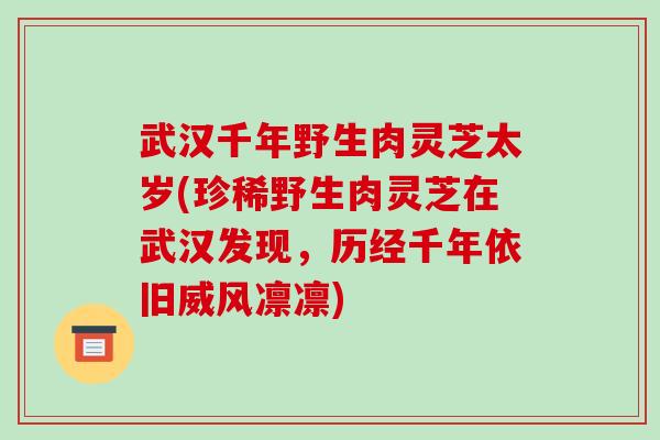 武汉千年野生肉灵芝太岁(珍稀野生肉灵芝在武汉发现，历经千年依旧威风凛凛)