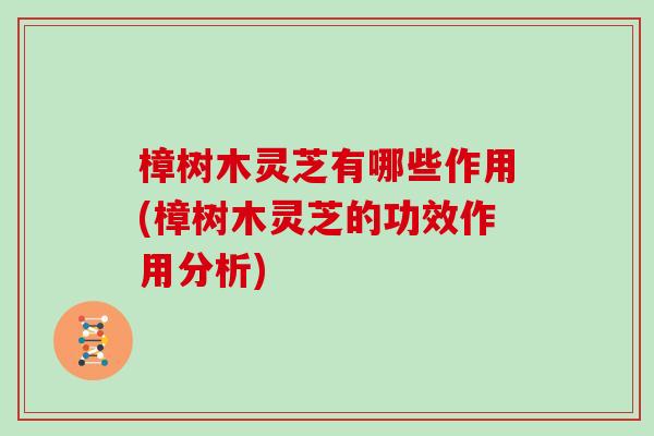 樟树木灵芝有哪些作用(樟树木灵芝的功效作用分析)