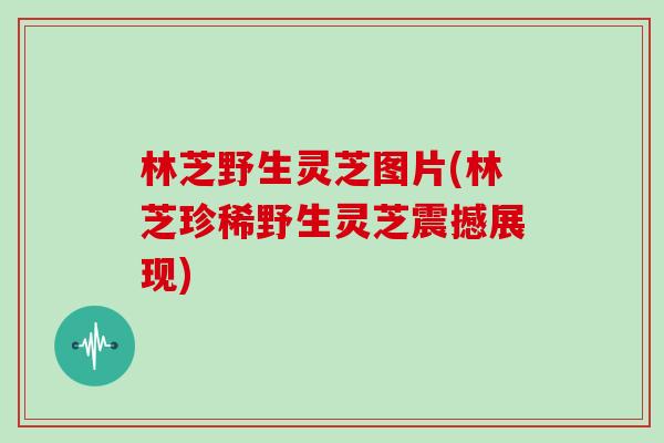 林芝野生灵芝图片(林芝珍稀野生灵芝震撼展现)