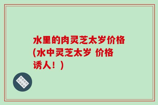 水里的肉灵芝太岁价格(水中灵芝太岁 价格诱人！)