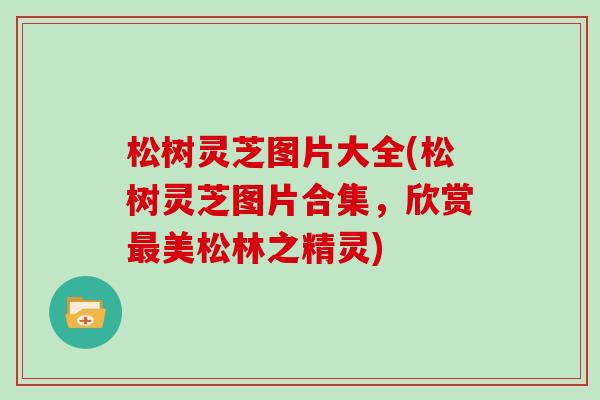 松树灵芝图片大全(松树灵芝图片合集，欣赏最美松林之精灵)