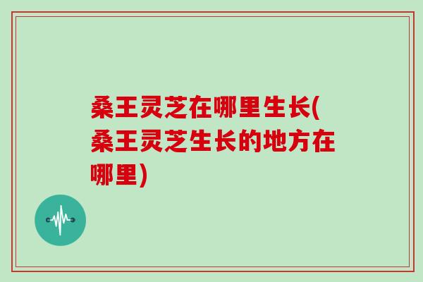 桑王灵芝在哪里生长(桑王灵芝生长的地方在哪里)