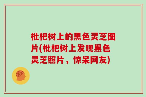 枇杷树上的黑色灵芝图片(枇杷树上发现黑色灵芝照片,惊呆网友)