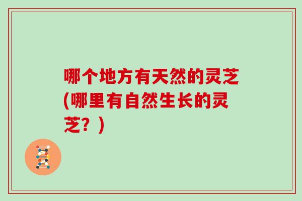哪个地方有天然的灵芝(哪里有自然生长的灵芝?)