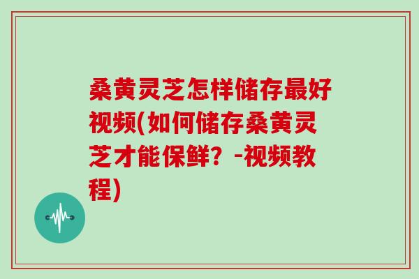 桑黄灵芝怎样储存最好视频(如何储存桑黄灵芝才能保鲜？-视频教程)