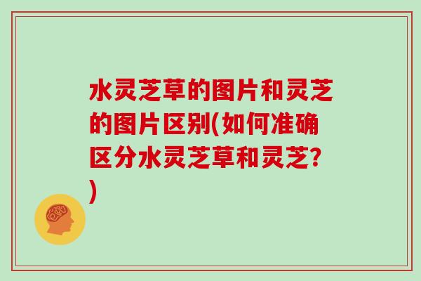 水灵芝草的图片和灵芝的图片区别(如何准确区分水灵芝草和灵芝?)