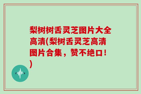 梨树树舌灵芝图片大全高清(梨树舌灵芝高清图片合集,赞不绝口!)