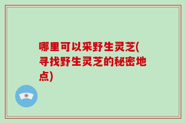 哪里可以采野生灵芝(寻找野生灵芝的秘密地点)
