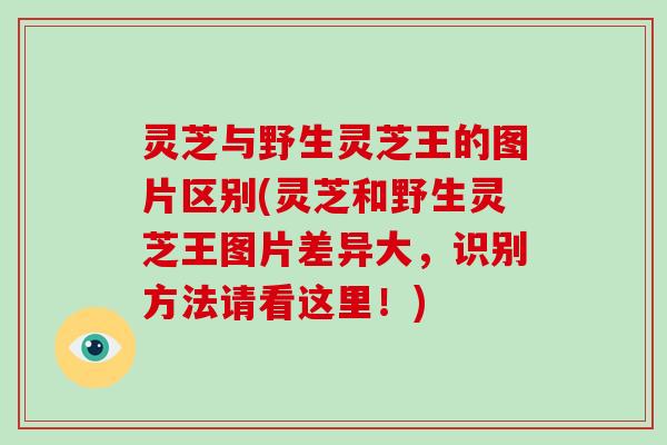 灵芝与野生灵芝王的图片区别(灵芝和野生灵芝王图片差异大,识别方法请看这里!)