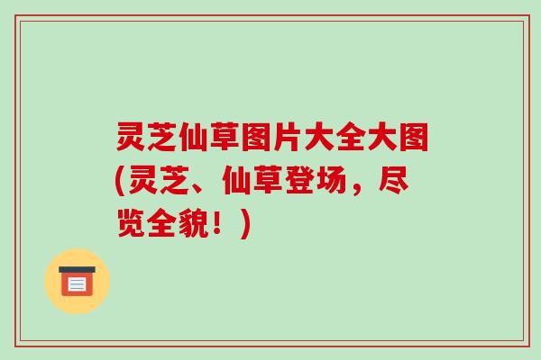 灵芝仙草图片大全大图(灵芝、仙草登场,尽览全貌!)