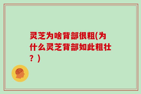 灵芝为啥背部很粗(为什么灵芝背部如此粗壮?)
