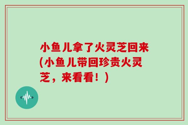 小鱼儿拿了火灵芝回来(小鱼儿带回珍贵火灵芝,来看看!)