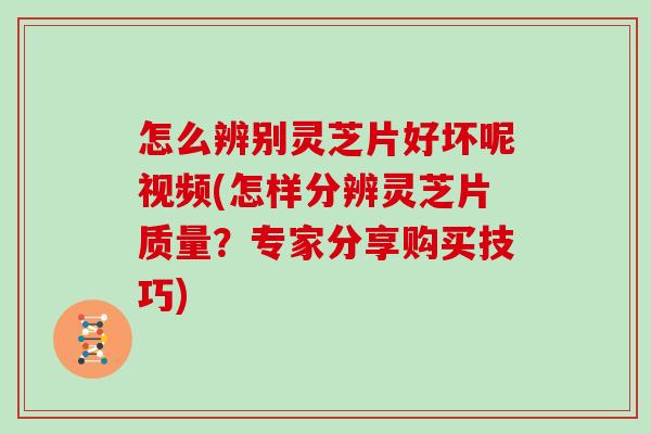 怎么辨别灵芝片好坏呢视频(怎样分辨灵芝片质量？专家分享购买技巧)