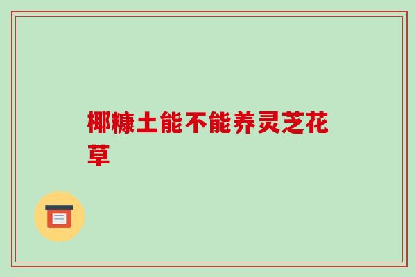 椰糠土能不能养灵芝花草