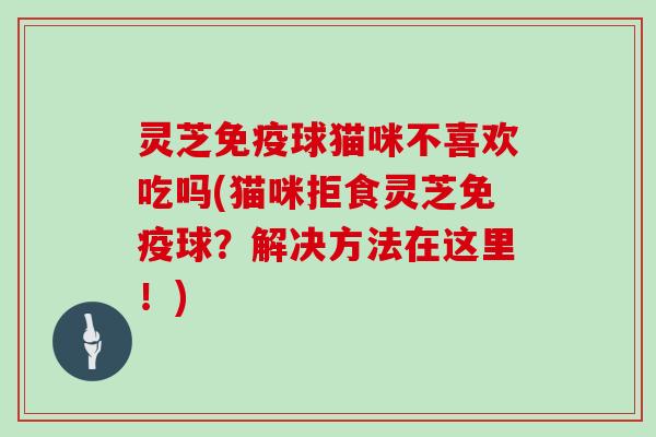 灵芝免疫球猫咪不喜欢吃吗(猫咪拒食灵芝免疫球？解决方法在这里！)