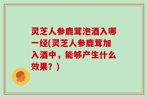 灵芝人参鹿茸泡酒入哪一经(灵芝人参鹿茸加入酒中,能够产生什么效果?)