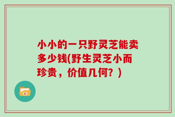 小小的一只野灵芝能卖多少钱(野生灵芝小而珍贵，价值几何？)