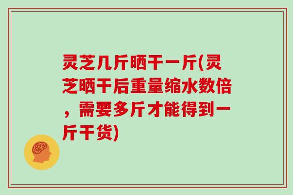 灵芝几斤晒干一斤(灵芝晒干后重量缩水数倍,需要多斤才能得到一斤干货)