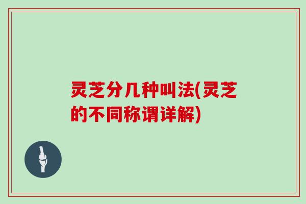 灵芝分几种叫法(灵芝的不同称谓详解)