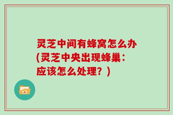 灵芝中间有蜂窝怎么办(灵芝中央出现蜂巢:应该怎么处理?)