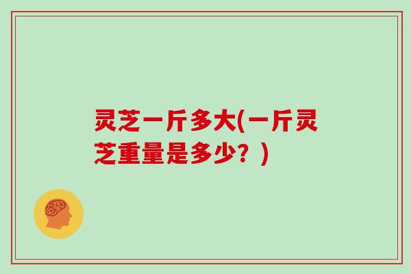 灵芝一斤多大(一斤灵芝重量是多少?)