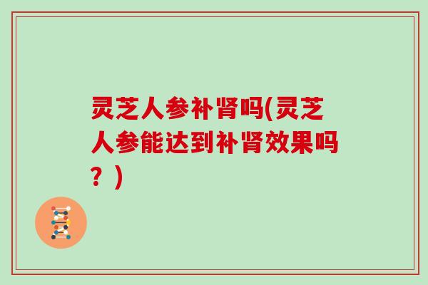 灵芝人参补肾吗(灵芝人参能达到补肾效果吗?)