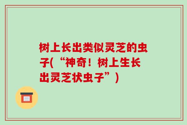 树上长出类似灵芝的虫子(“神奇!树上生长出灵芝状虫子”)